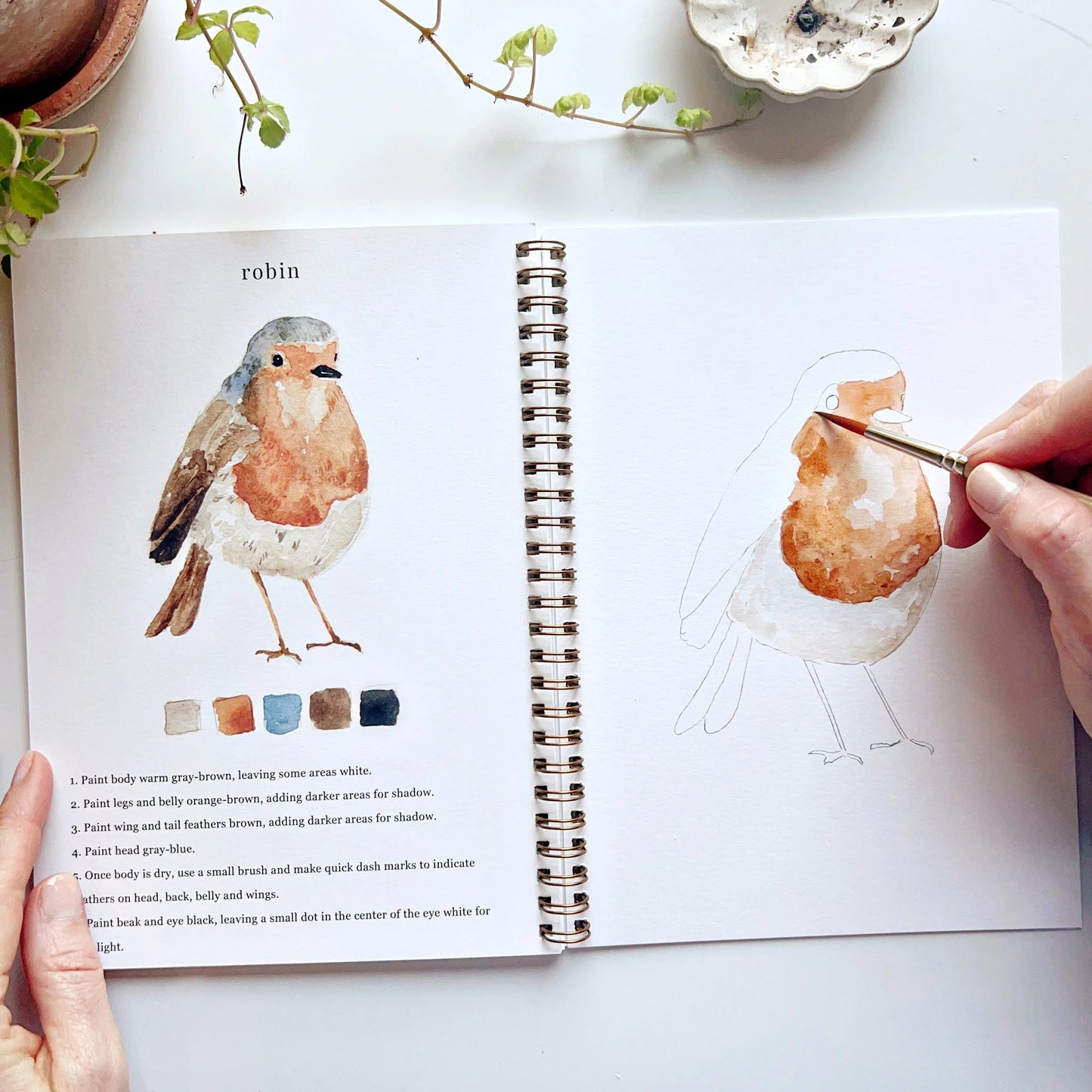 Emily Lex Studio Workbook - Birds