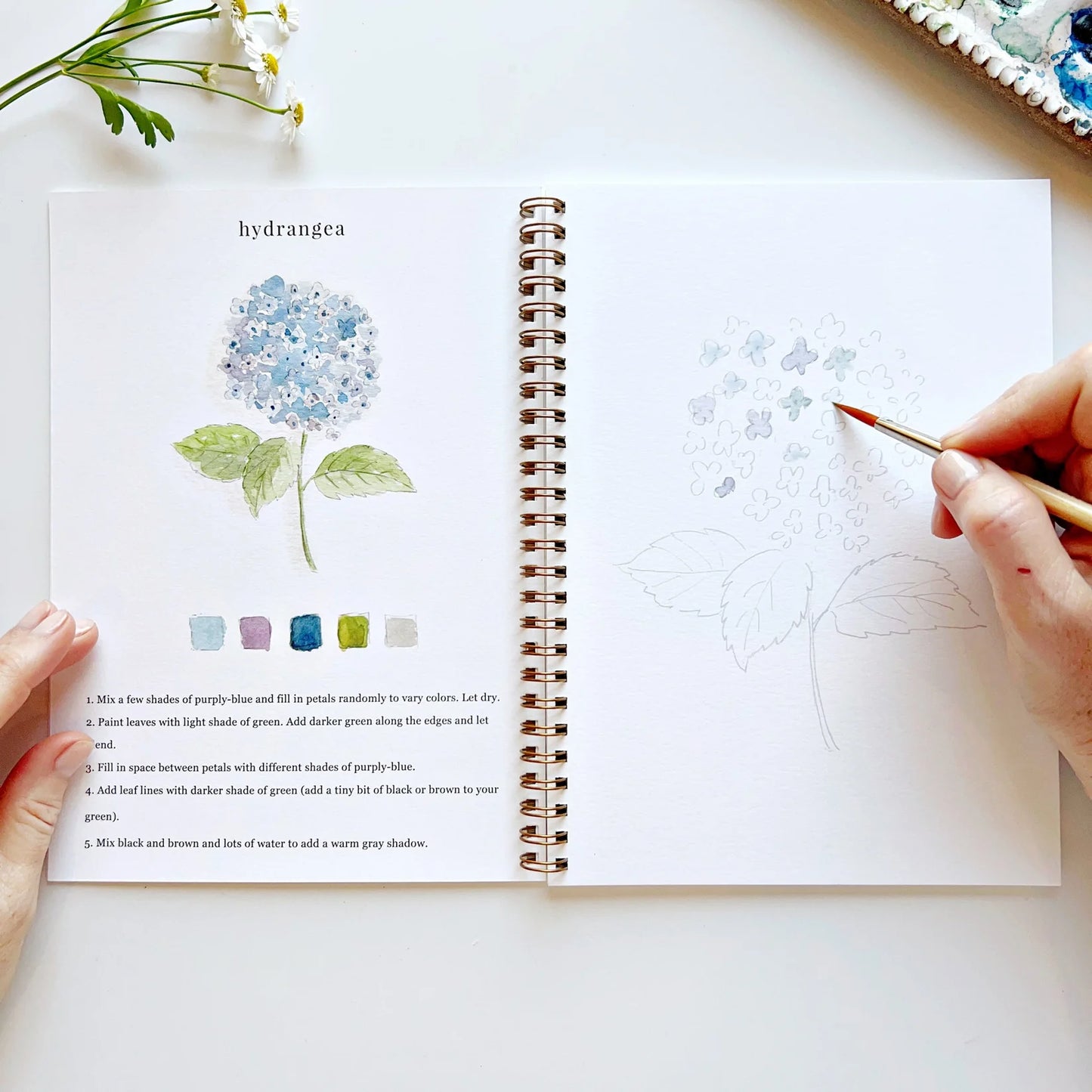 Emily Lex Studio Workbook - Flowers