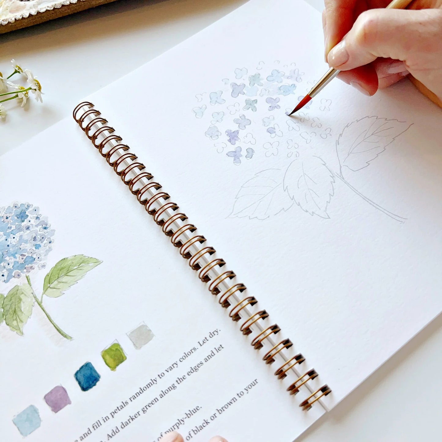 Emily Lex Studio Workbook - Flowers