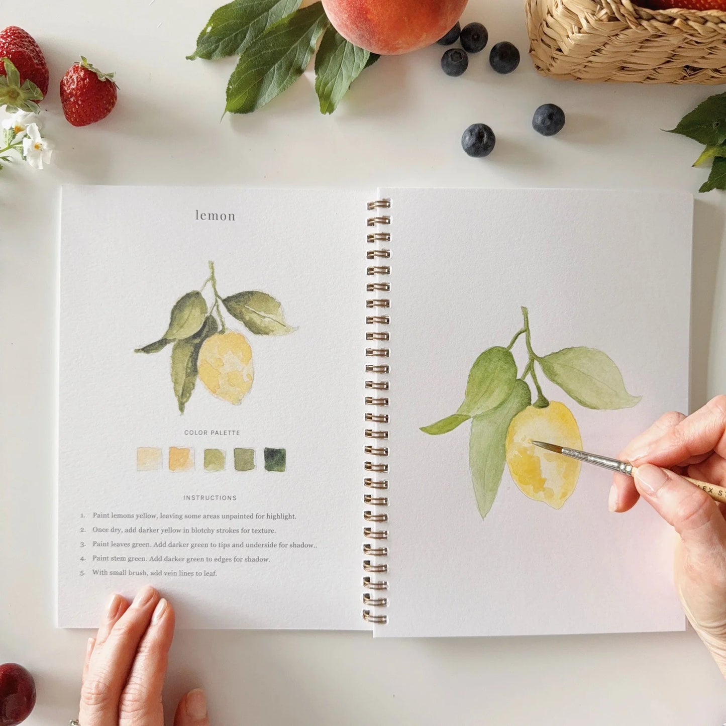 Emily Lex Studio Workbook - Fruit